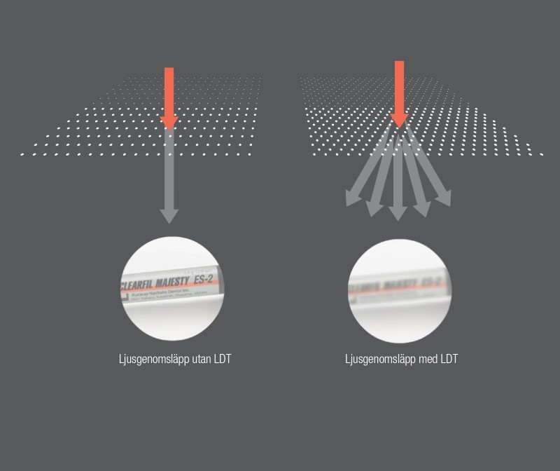 LICHTDIFFUSIETECHNOLOGIE SE.jpg